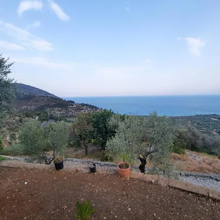 Lulu' * Mattinata